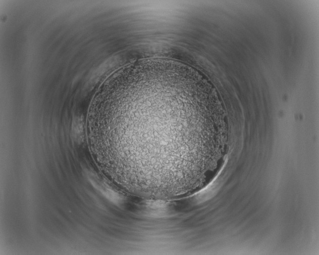 X0000063460144200601201255