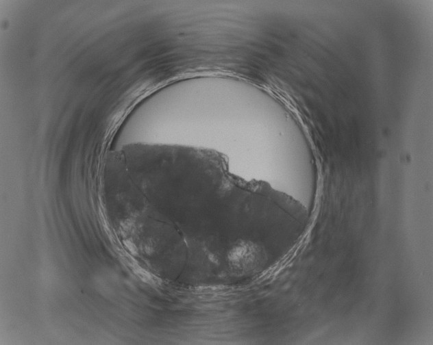 X0000063460145200601201254