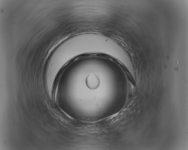 X0000063460146200601201254