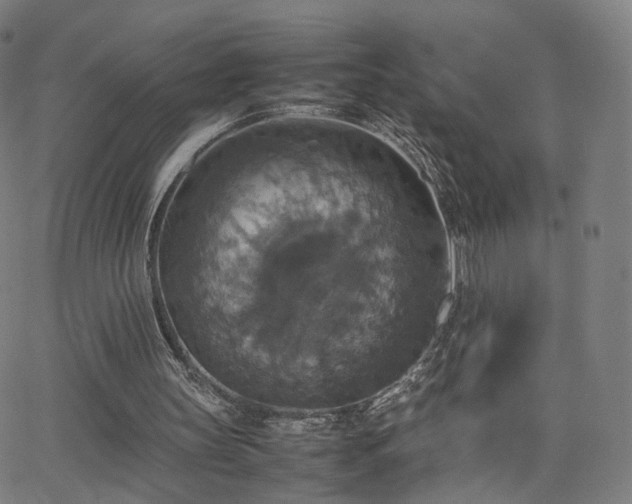 X0000063460147200601201254