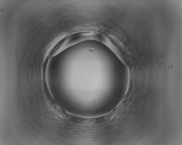 X0000063460148200601201254