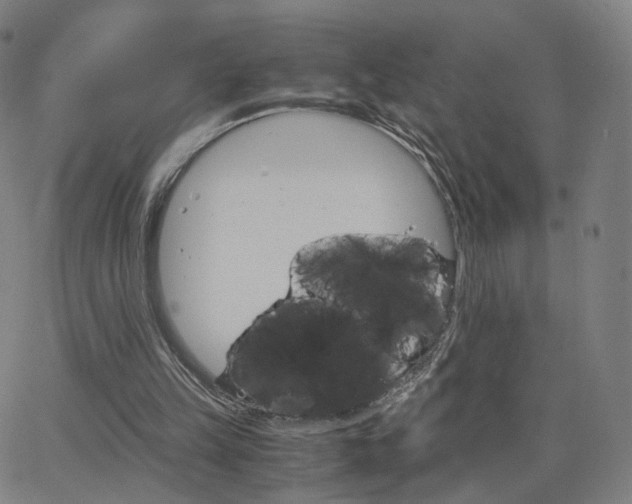 X0000063460149200601201254