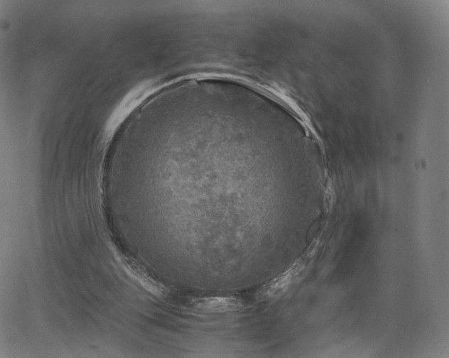 X0000063460151200601201254