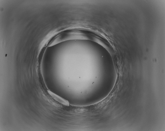 X0000063460152200601201254