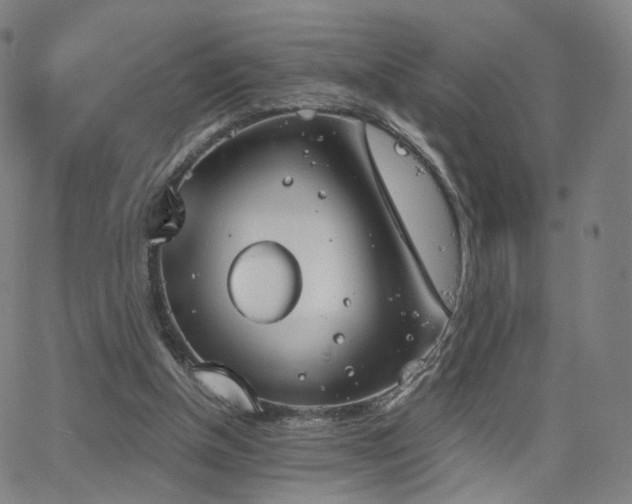 X0000063460154200601201254