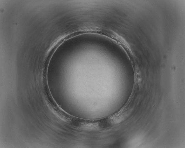 X0000063460155200601201254