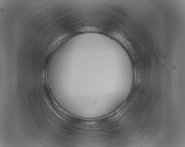 X0000063460157200601201255