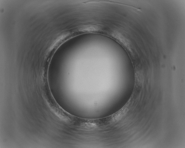 X0000063460159200601201255