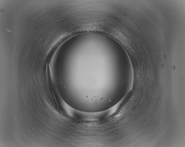 X0000063460160200601201255