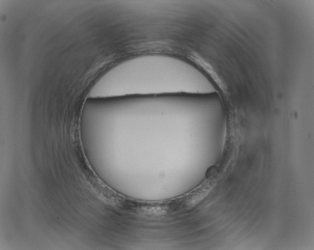 X0000063460161200601201255