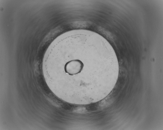 X0000063460162200601201255