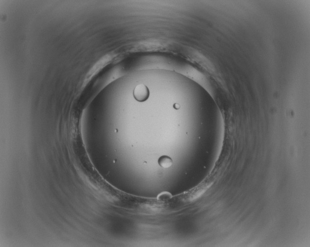 X0000063460164200601201255