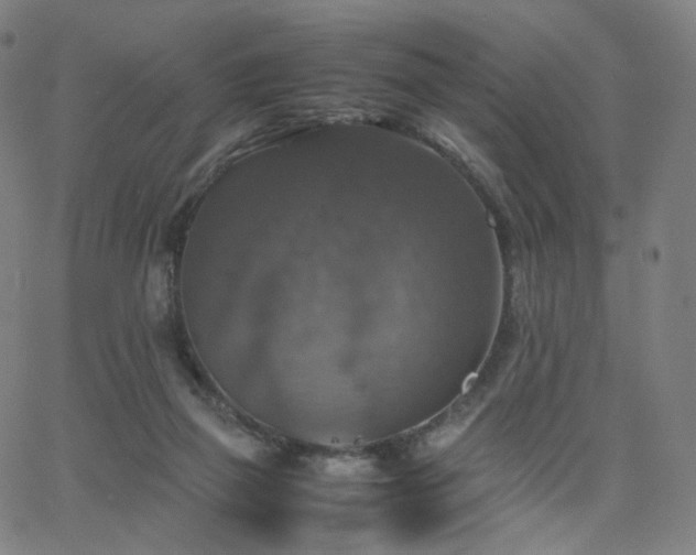 X0000063460165200601201255