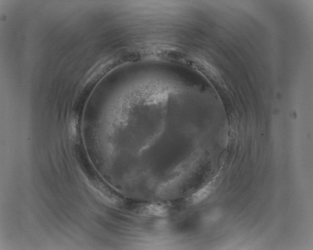 X0000063460166200601201255