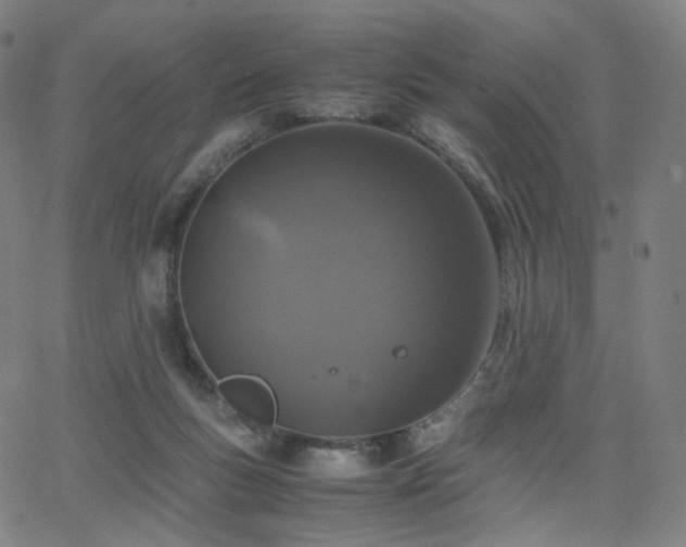 X0000063460167200601201255