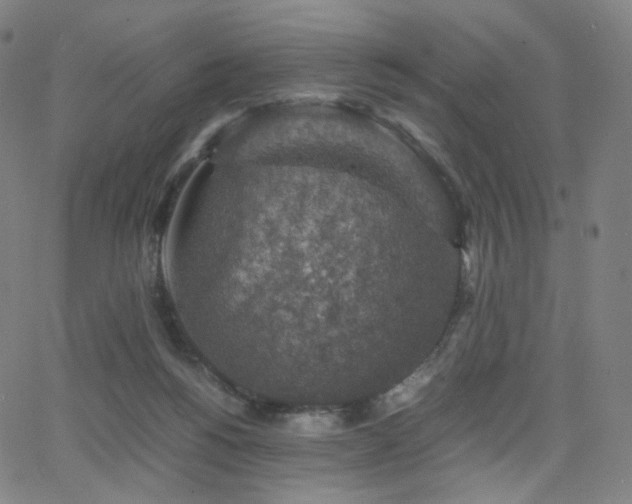 X0000063460168200601201255