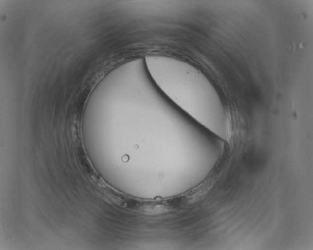 X0000063460169200601201255