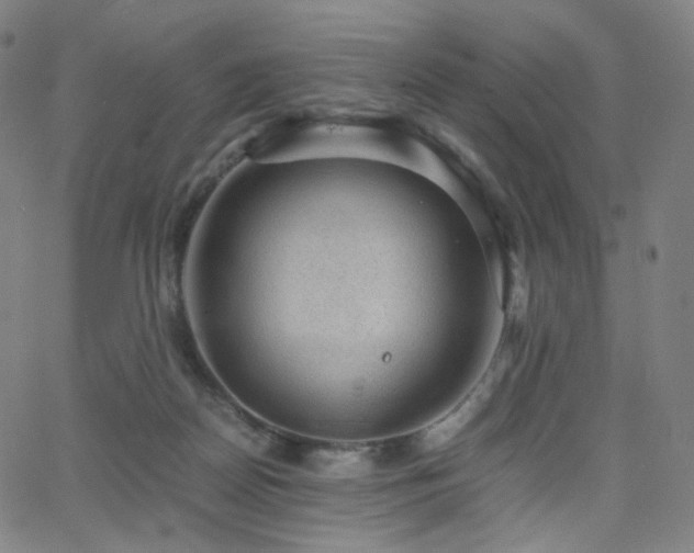 X0000063460170200601201255