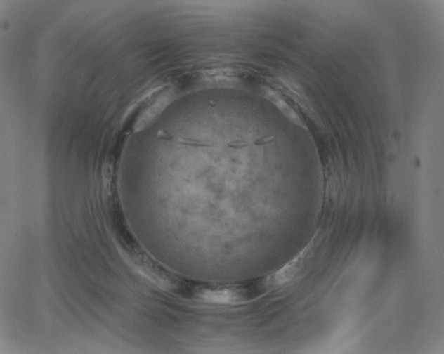 X0000063460171200601201255