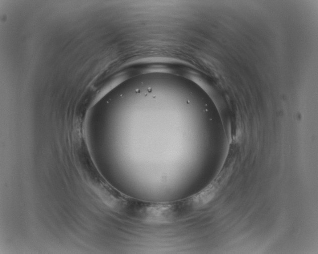 X0000063460172200601201255