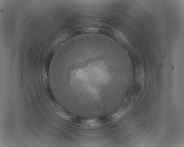 X0000063460173200601201255