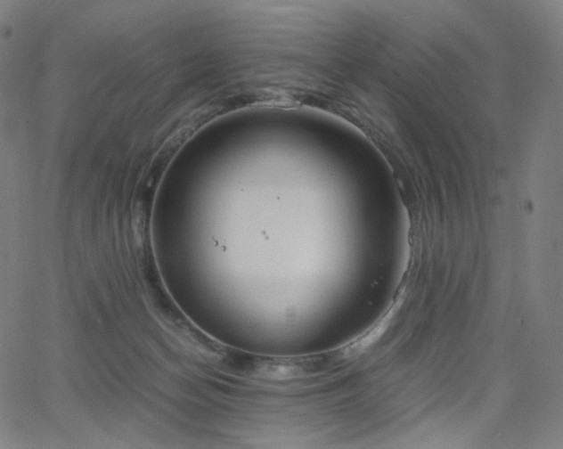 X0000063460174200601201255