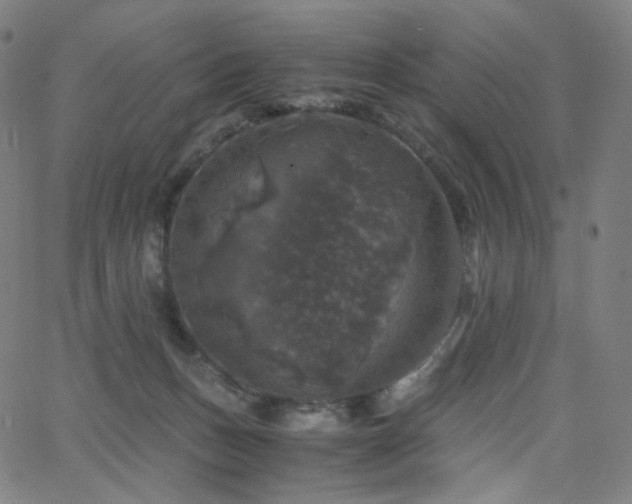 X0000063460175200601201255