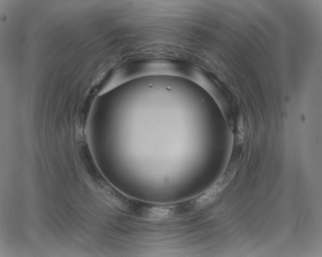 X0000063460176200601201255