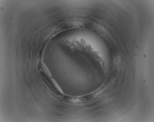 X0000063460177200601201255