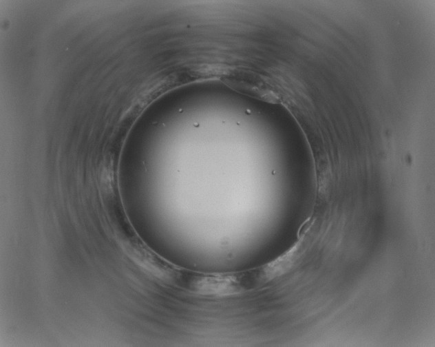 X0000063460179200601201255