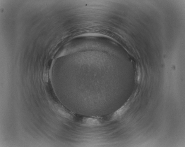 X0000063460180200601201255