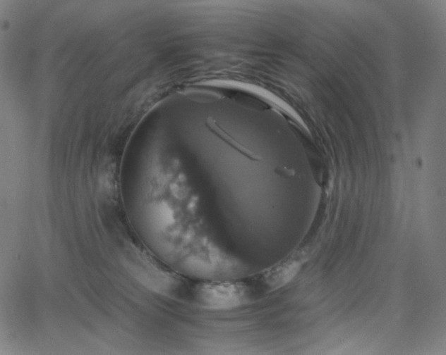 X0000063460181200601201255