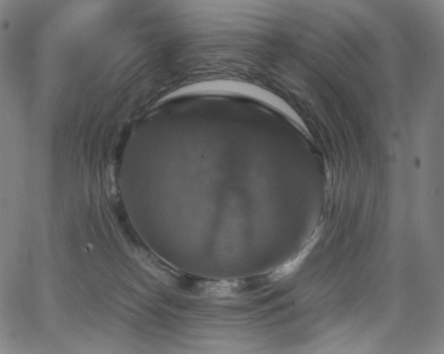 X0000063460182200601201255