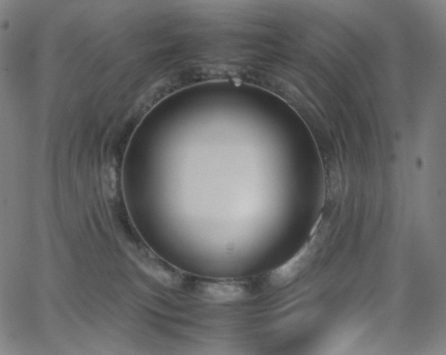 X0000063460183200601201255