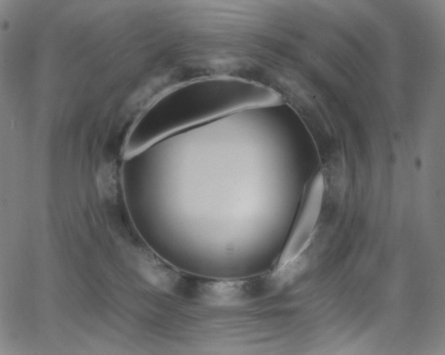 X0000063460184200601201255