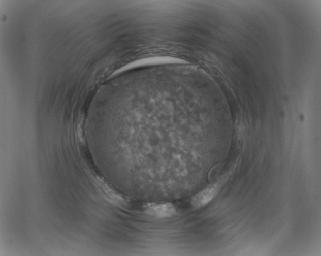 X0000063460185200601201255