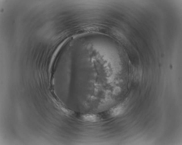 X0000063460189200601201255