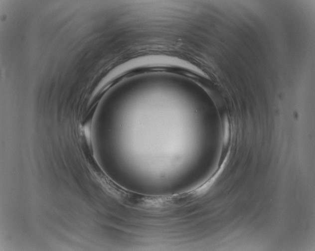 X0000063460190200601201255