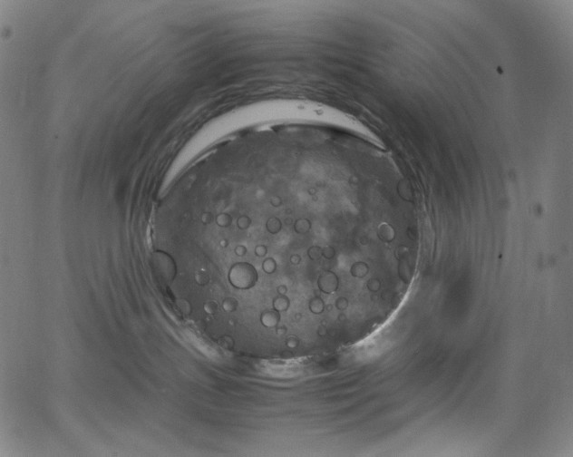 X0000063460191200601201255