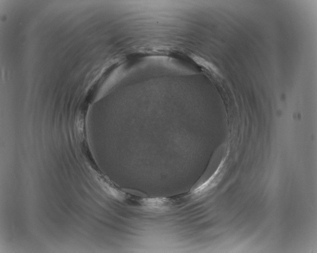 X0000063460192200601201255