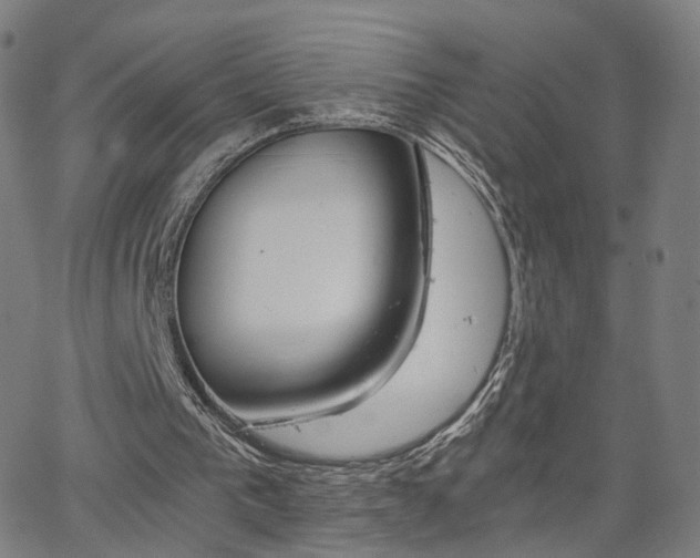 X0000063460193200601201254