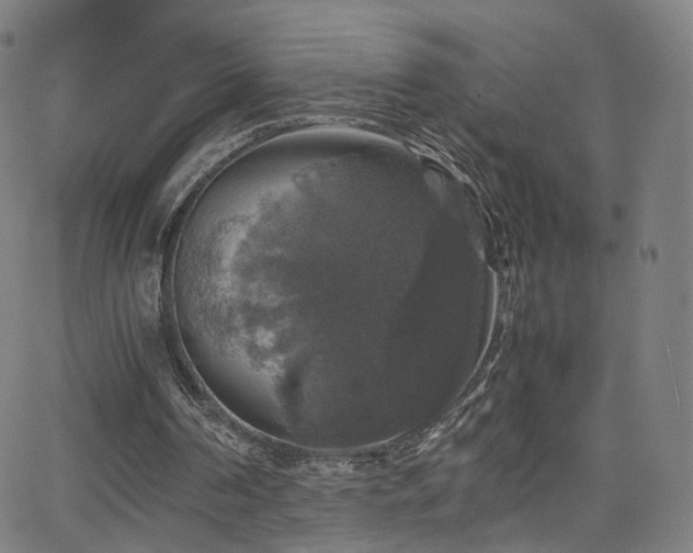 X0000063460194200601201254