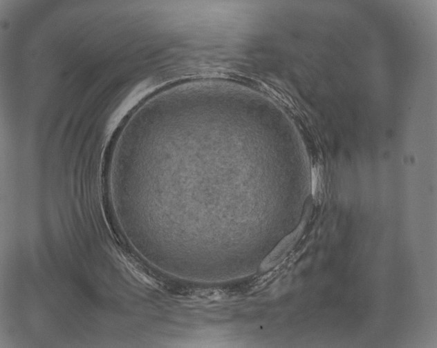 X0000063460195200601201254