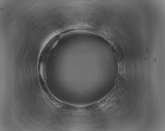 X0000063460196200601201254