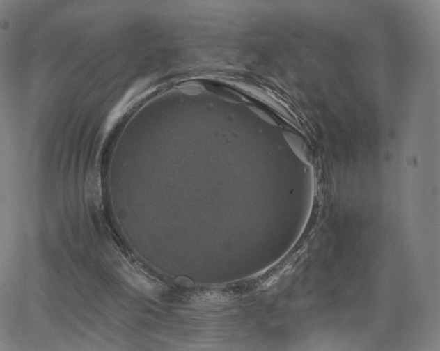 X0000063460198200601201254