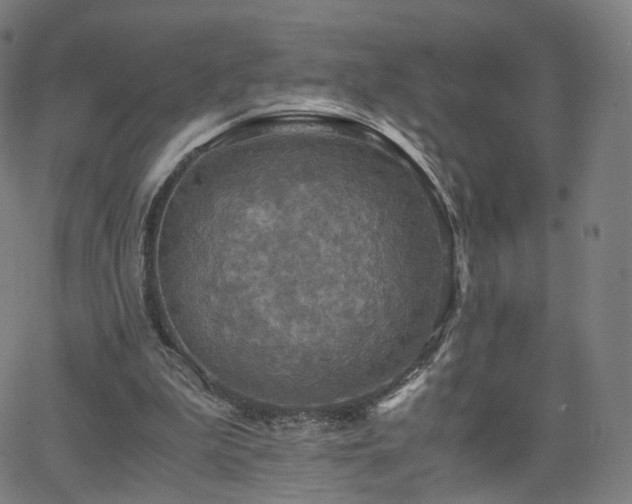 X0000063460199200601201254