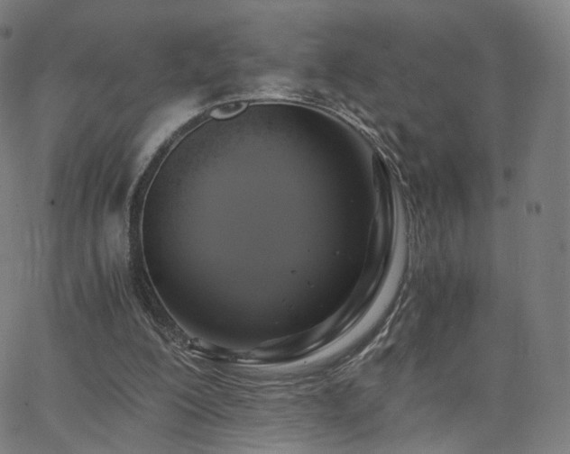 X0000063460200200601201254