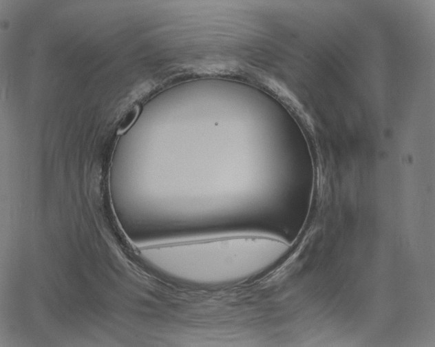 X0000063460201200601201254