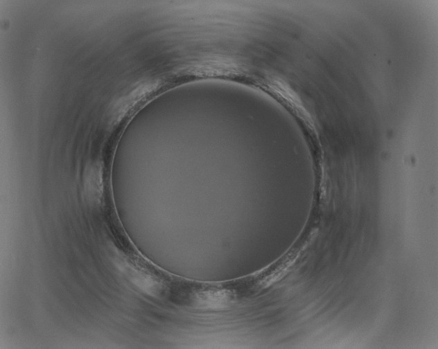 X0000063460202200601201254