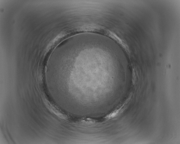 X0000063460203200601201254